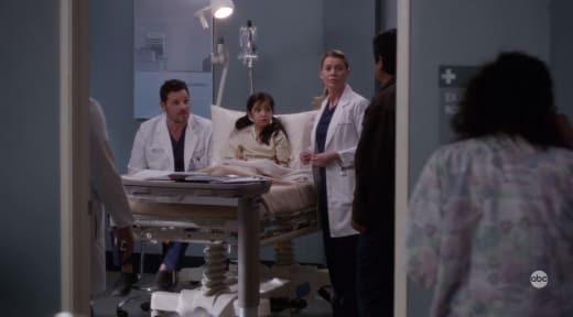 Grėjaus anatomijos apžvalga: ar Meredith buvo atleista?